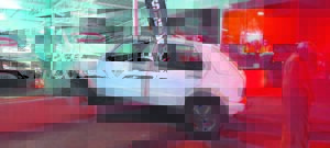 Motor bars deur ruit