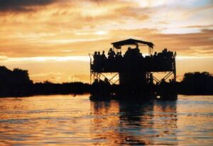 Son sak oor Sakkie se Arkie