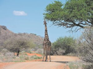 National park tariffs raised