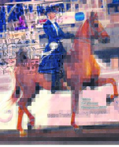 Ruiter pronk gou in VSA