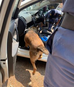 Police in Northern Cape crack down on drugs