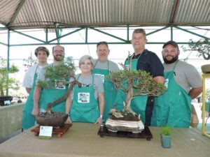 Bonsais: Verdwergde bome skep reuse indruk