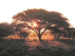 Verwag hoë temperature in laaste somermaand