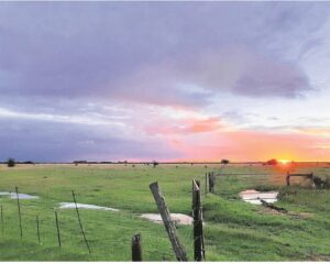 Foto-beeld: Skyn eerste strale oor ’n nat streek