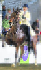 Ruiter galop na Amerika