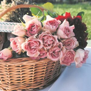 Snoeiwerk die ware sleutel tot groei