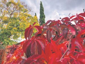 Klou stywer vas aan seisoen se doodsnikke