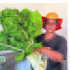 Hope deeply rooted in Pella