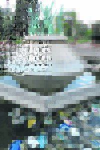 Lushof dalk nog ontgin