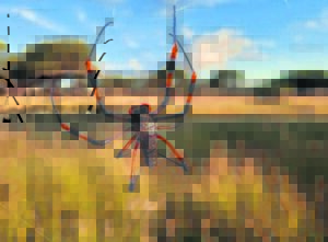 Foto-beeld: Volvoer taak met fyn noukeurigheid