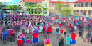 Dierevriende gehelp met bakkievrag kos