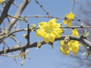 Foto-beeld: Draers van hoop vir nuwe groeiseisoen