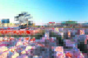 Onooglikheid in Kakamas in kliptuin omtower