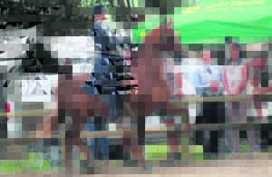 Rider ready to saddle up