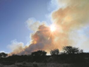 Opleiding beveg brande