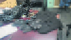 Misdaad in NK ontsenu