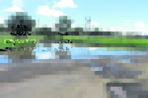 Debtors ‘helping’ to create dire situation