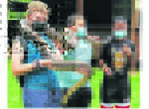 Jonges verken Wes-Kaap