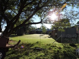 ‘Kwetsende’ boomname verander