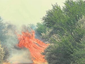 Wind jaag vuur, vrees aan