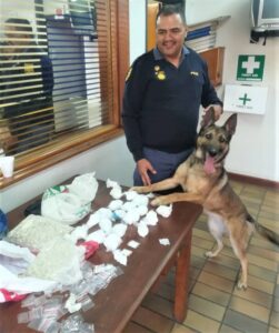 Drugs worth more than R700 000 confiscated in Upington