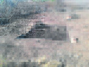 Tak mik na herstel van dorpsprag