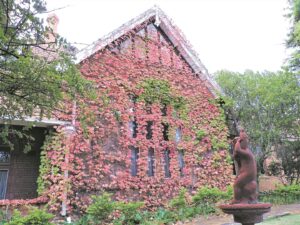 Verwelkom laaste herfsmaand fleurig