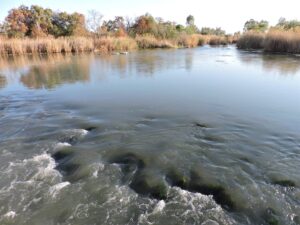 Conditions in NC calls for swimmers to think twice