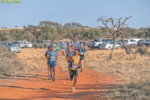 Running to save vultures