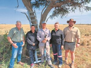 Navorsers kom vanjaar meer aasvoëlkuikens in neste teë