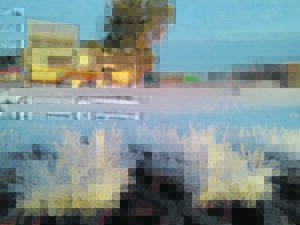 Photo: Glittering with cold on winter morning