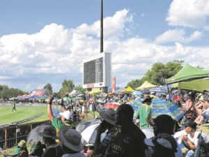 Fotobeeld: Vier kleurryke krieketfees, bou aan groepgees