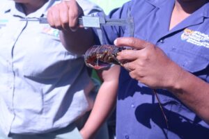 NC coastal operation yields success