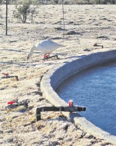 ‘Moeilik’ oor hul gevriesde damwater