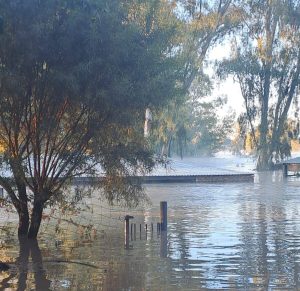 Omvangryke vloedskade in Noord-Kaap nog nie bepaal nie
