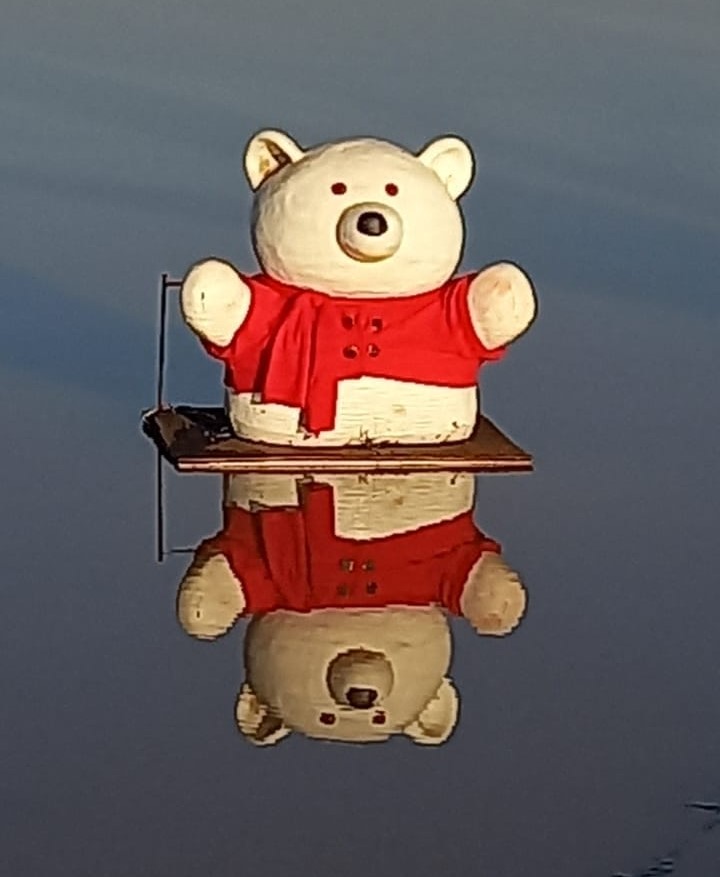 Dié ysbeer swem saam