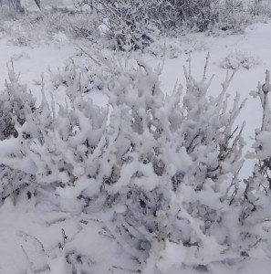 Ysige weer vir Noord-Kaap geen wolhaarstorie; hou wolkombers naby