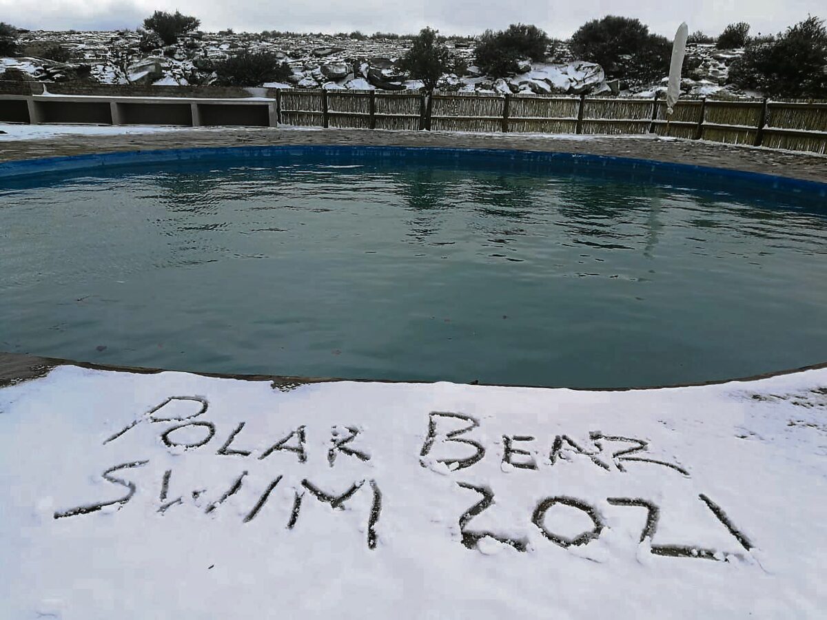 Enigeen kan nes ‘n ysbeer hierdie winter ‘n koue swem aandurf