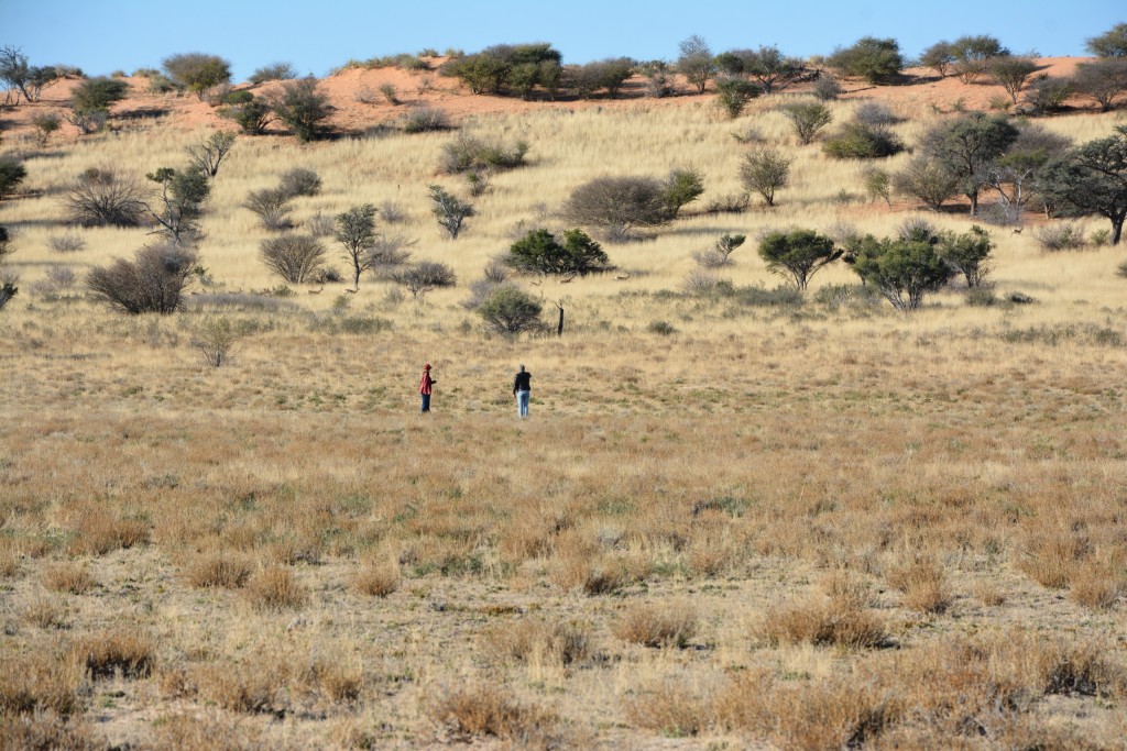 Die terrein by Van Zylsrus waar die aasvoëlgeoglief geskep gaan word.