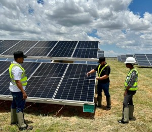 Internship programmes boosting renewable energy careers