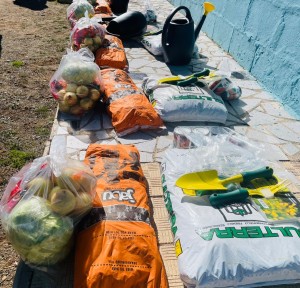 Boosting food security in Noupoort through gardening