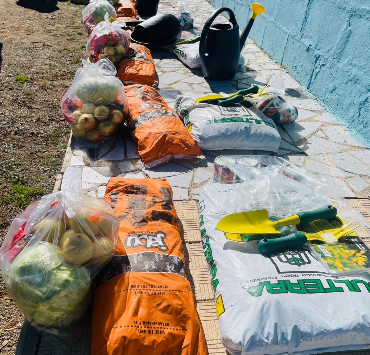 Mandela Day Garden mix 1