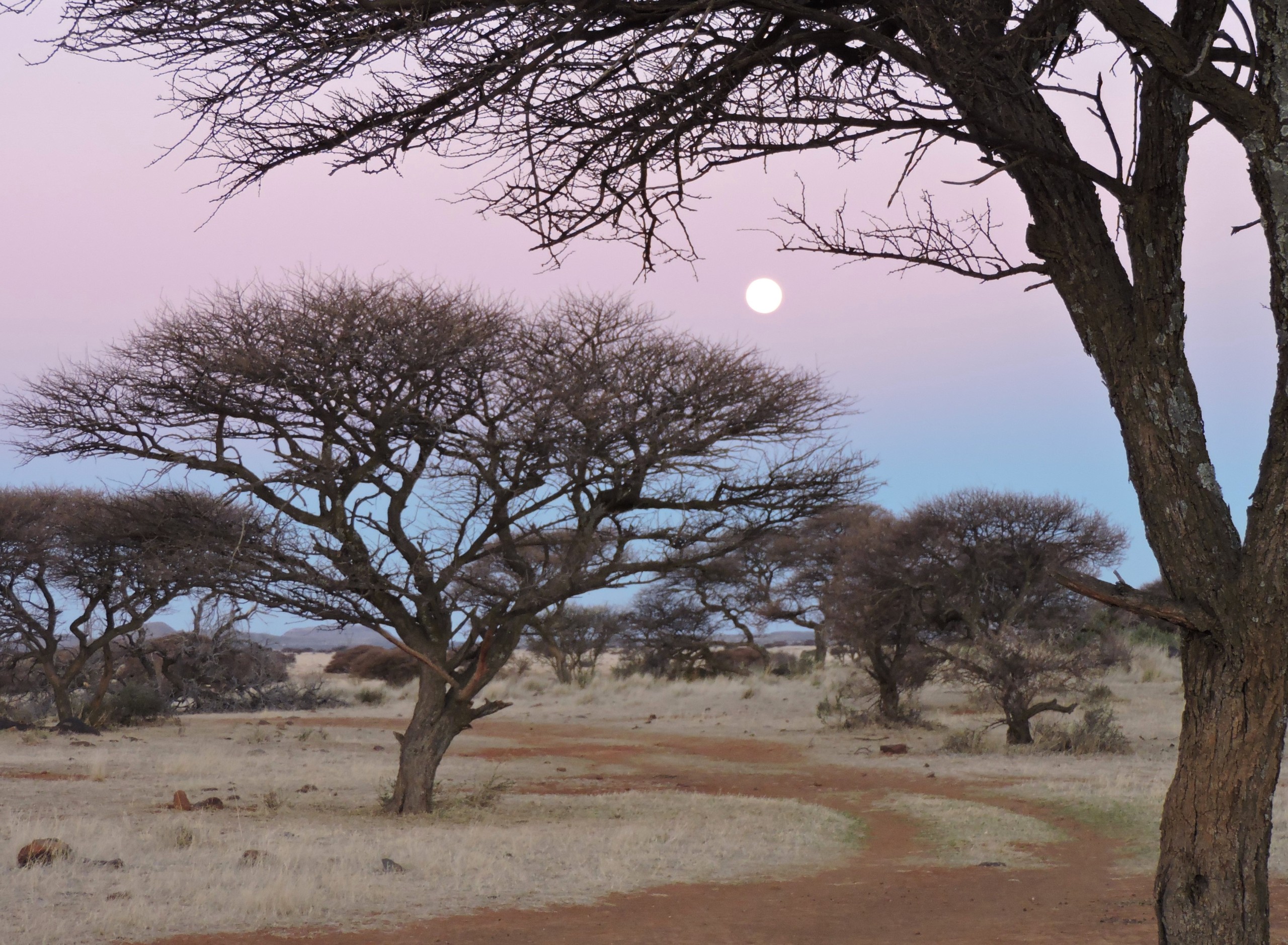 'n Deel van die Rooifontein-wildsplaas. Foto: Helena Barnard