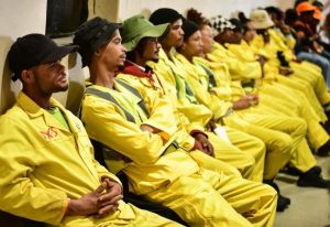 New skills initiative for Northern Cape’s EPWP participants