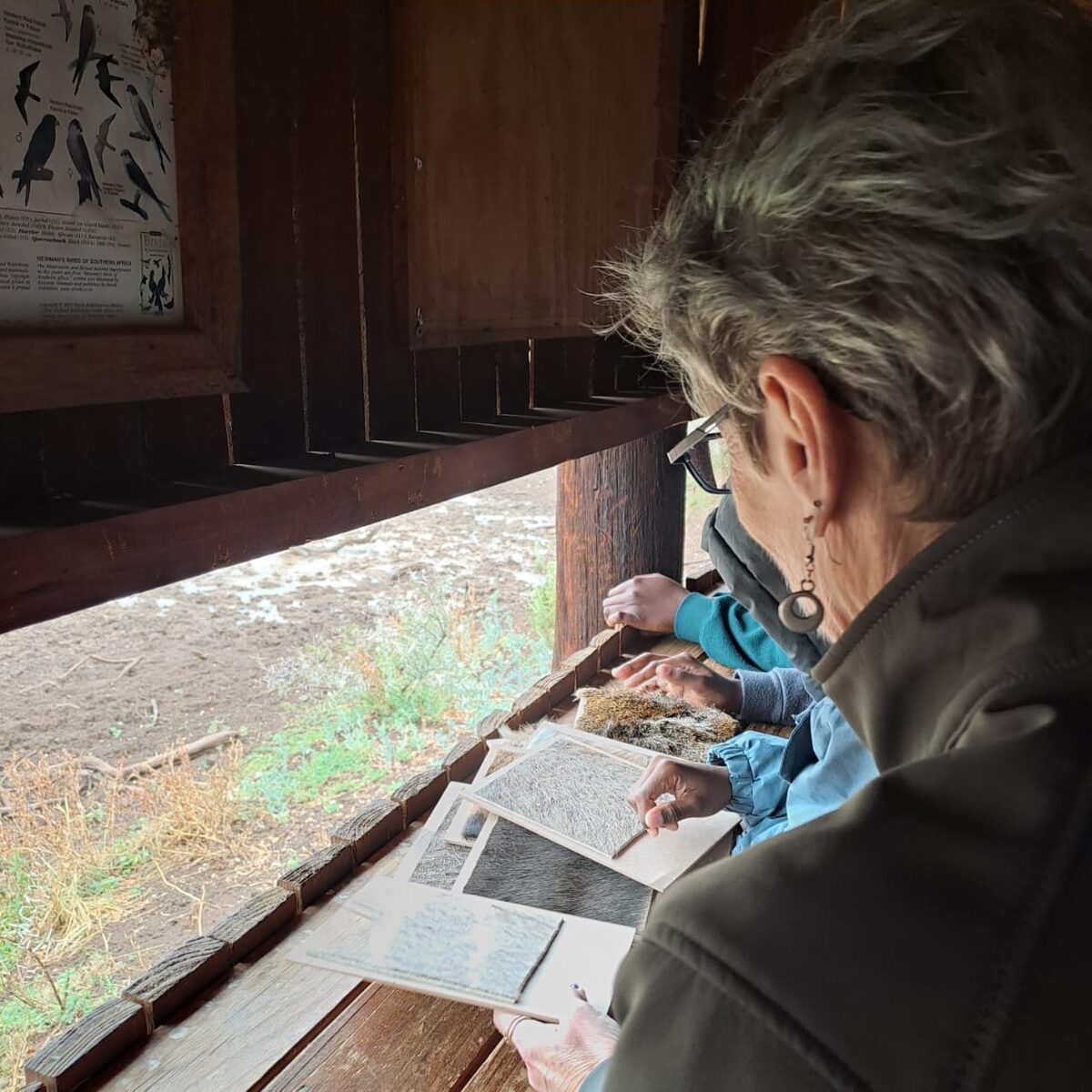 Honorary Rangers host family fun day at Mokala National Park