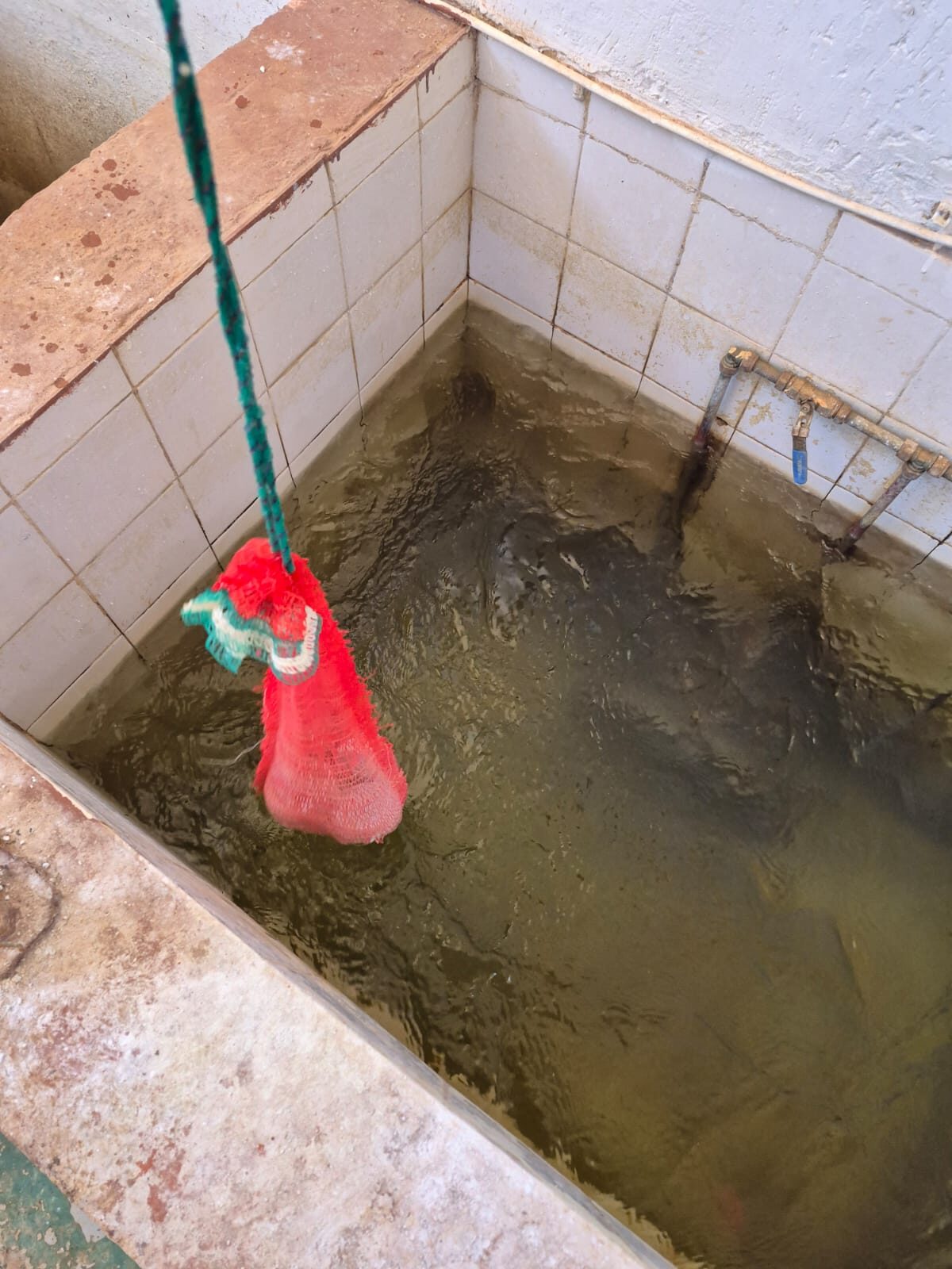 Phokwane Municipality defends water treatment plant amid R37m upgrade plans