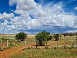 FOTO | Wind waai beloftes van laat lentereën aan