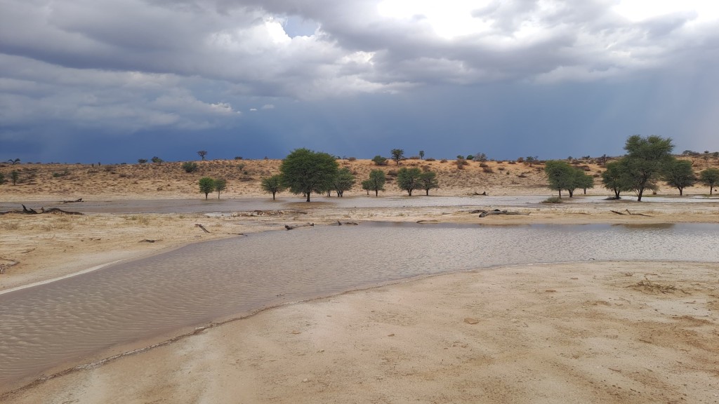 Kgalagadi Transfrontier Park