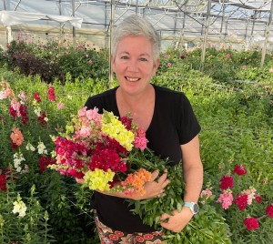 Love Dahlias Festival: Experience a blooming adventure in Douglas