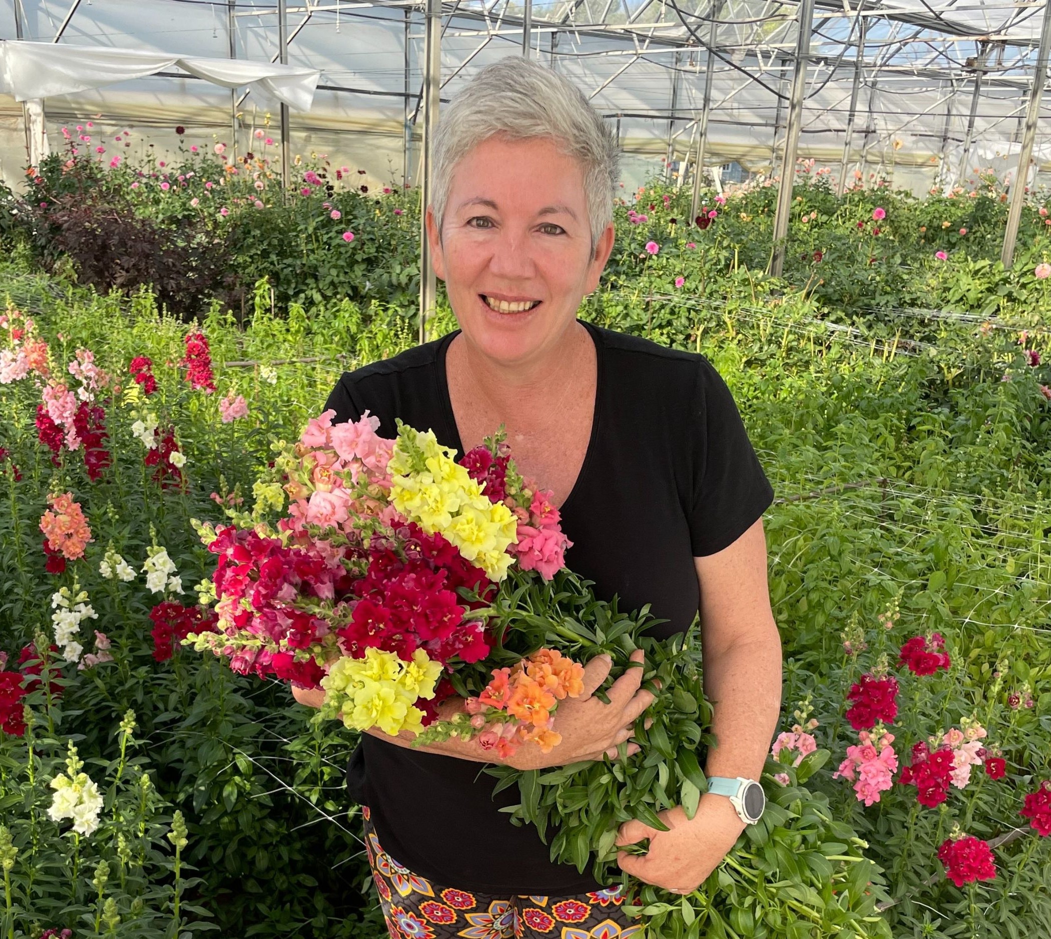 Love Dahlias Festival: Experience a blooming adventure in Douglas